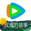 山东野马